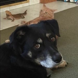 Meet your Posher, Autumn